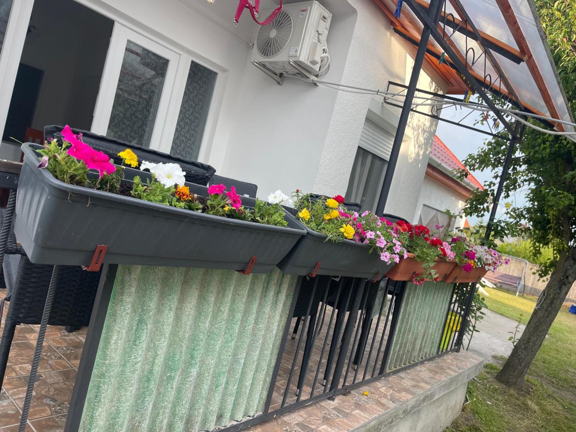 Valentina Apartman Balatonmáriafürdő Zewnętrze zdjęcie